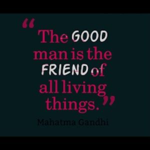 Meet your Posher, Dewitt